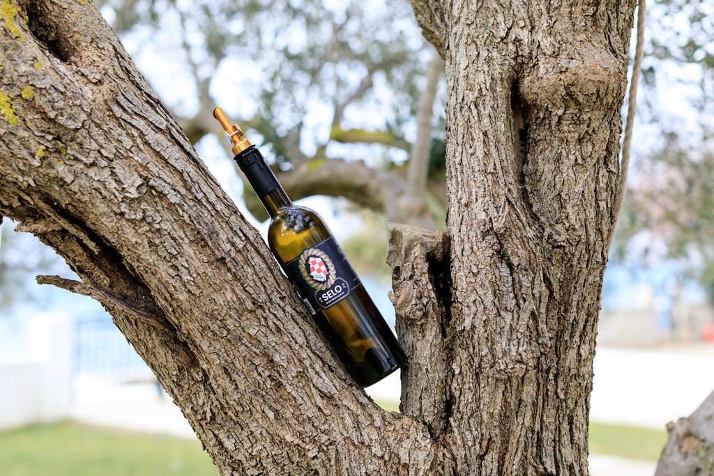 Fresh artisanal bread, Selo olive oil, and mixed olives on a rustic table with natural light.